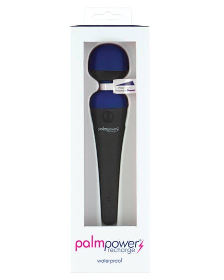 PalmPower Rechargeable Massager-Blue