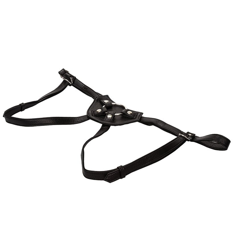 Her Royal Harness The Countess (boxed) - Image 2